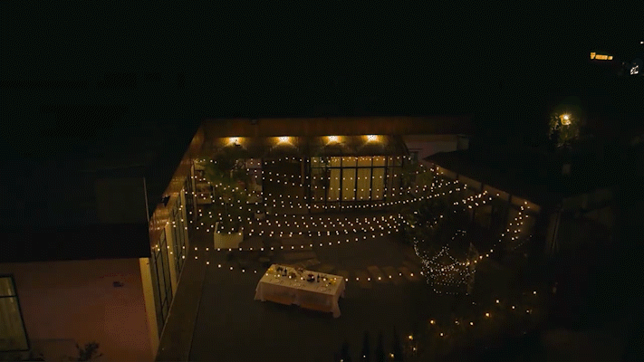 Guia Guirnalda Luces Vintage 7,62 Metros + 20 Lamparitas + 2 Repuestos – TECNOLOGÍA HV